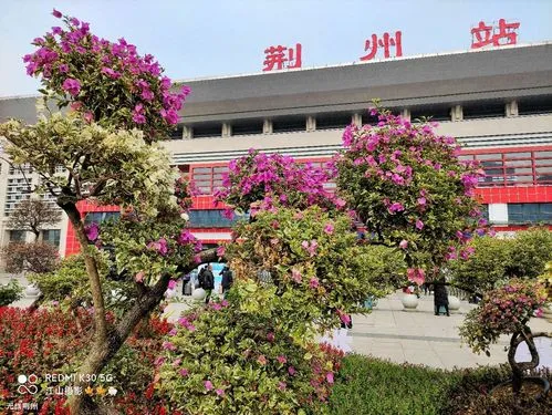 广州到荆州空运专线_广州到荆州物流专线_广州到荆州空运公司